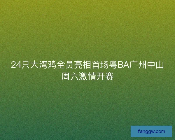 24只大湾鸡全员亮相首场粤BA广州中山周六激情开赛