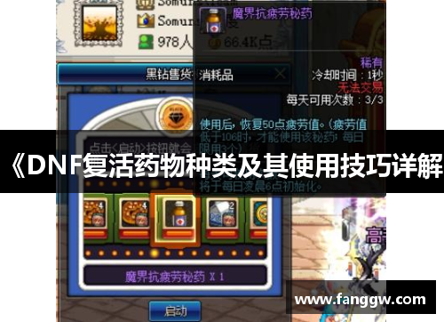 《DNF复活药物种类及其使用技巧详解》