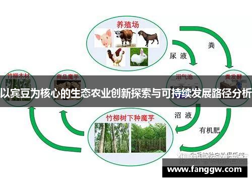 以宾豆为核心的生态农业创新探索与可持续发展路径分析