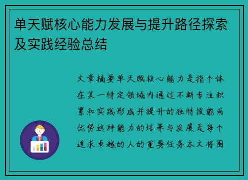 单天赋核心能力发展与提升路径探索及实践经验总结